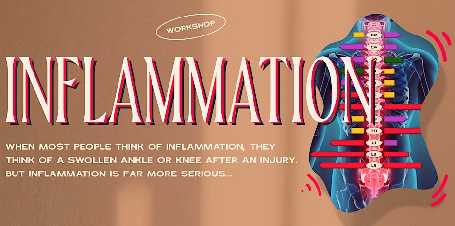 inflammation workshop