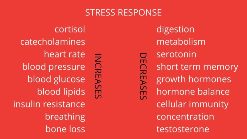 stress responses chart