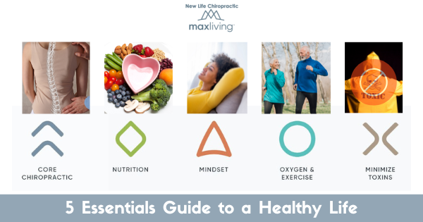 5 Essentials Guide to a Healthy Life